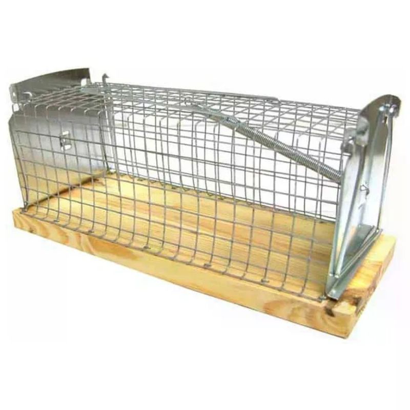 KEIM Trappola per topi a galleria 29 × 12 × 13 cm