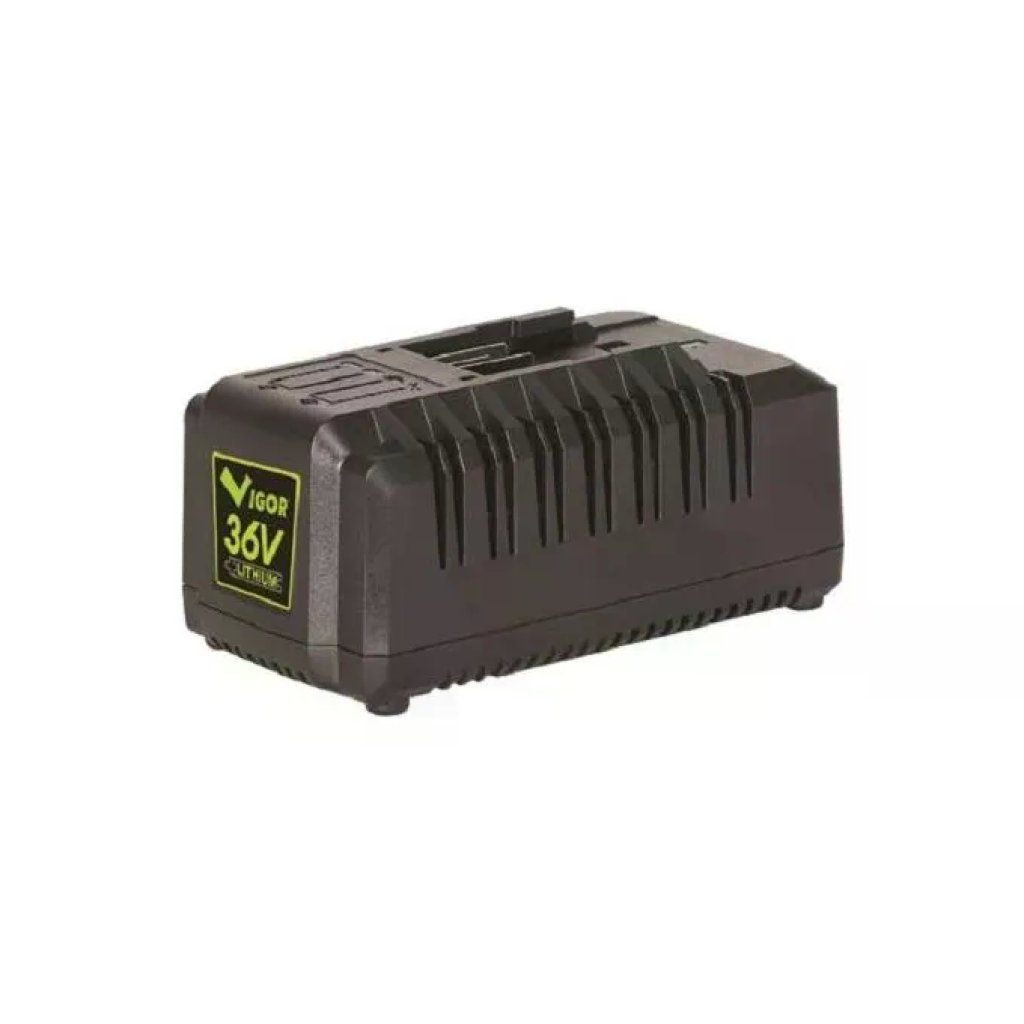 Vigor-Blinky VX 36V – Caricabatteria rapido al litio 2,6 A