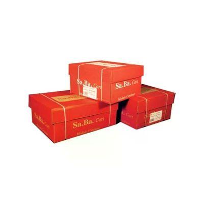 Sa.Ba.Cart S01240116000 Carta a Modulo Continuo 240 mm x 11'' 60 g Sa.Ba.Cart S01240116000 Carta a Modulo Continuo 240 mm x 11'' 60 g