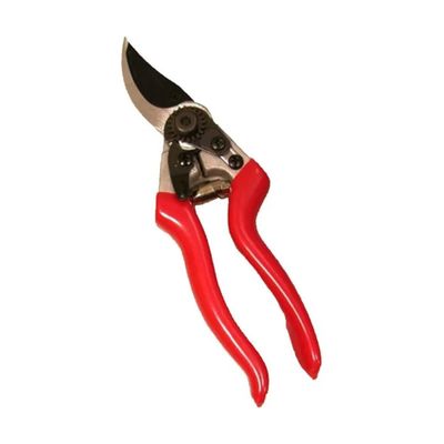 Samurai KS-8TBL Svettatoio con Lama Curva da 22 cm