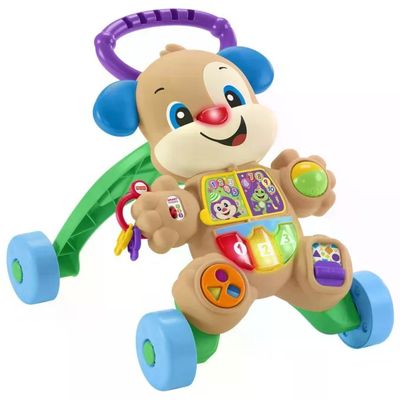 FISHER PRICE Fisher-Price Cagnolino Primi Passi HHX15 – Giocattolo musicale Smart Stages, 6-36 mesi