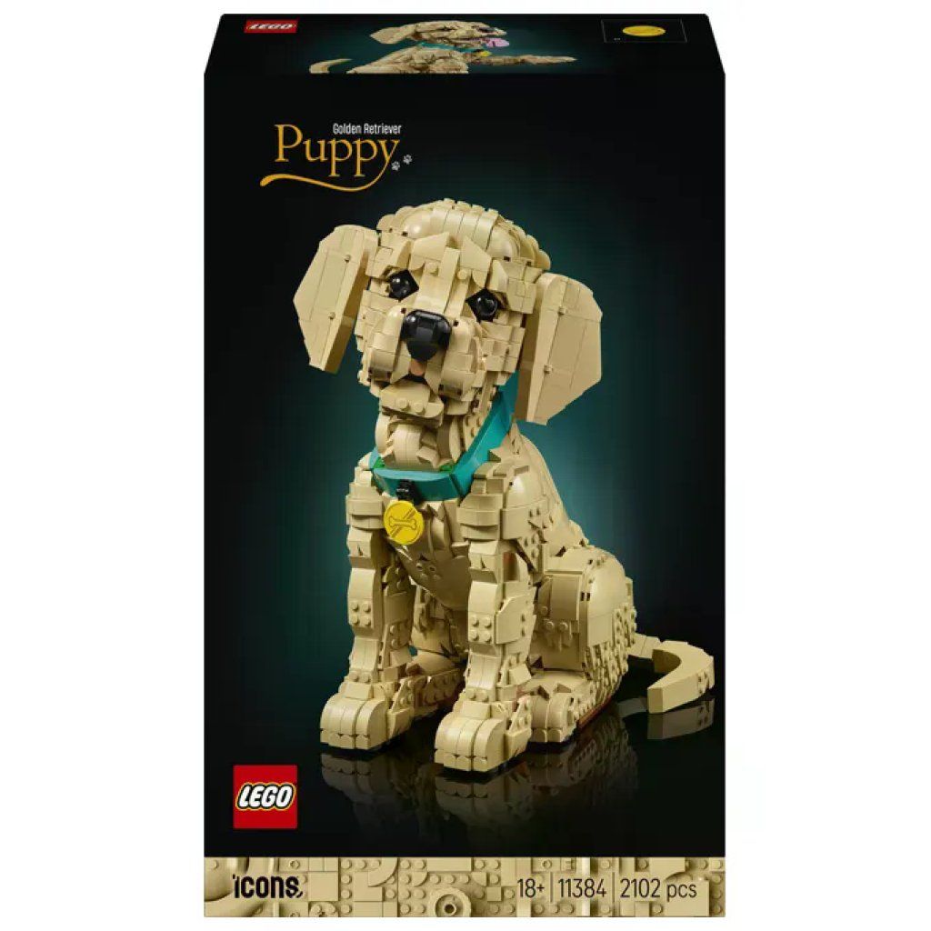 LEGO Icons Cucciolo di Golden Retriever – Set da 2102 Pezzi 11384