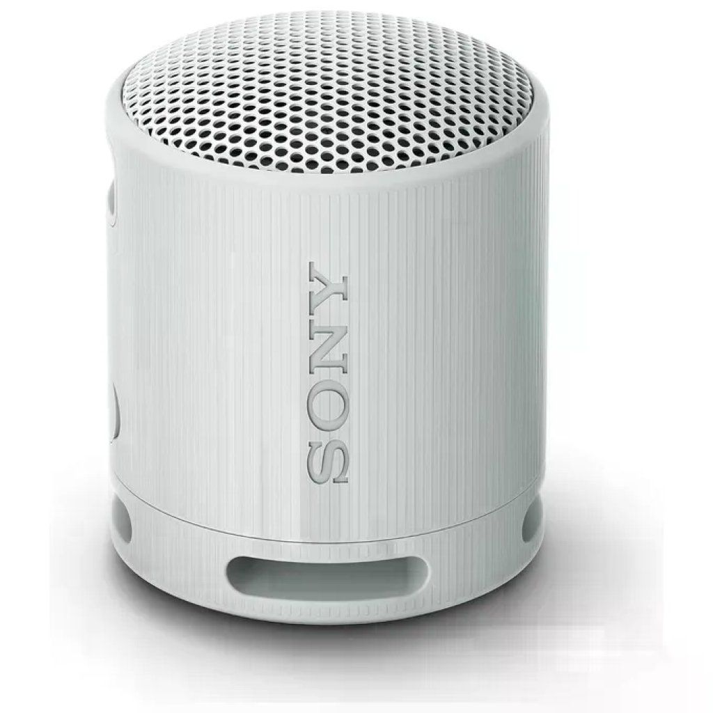 Sony SRS-XB100 Speaker Bluetooth Portatile IP67 Grigio Sony SRS-XB100 Speaker Bluetooth Portatile IP67 Grigio