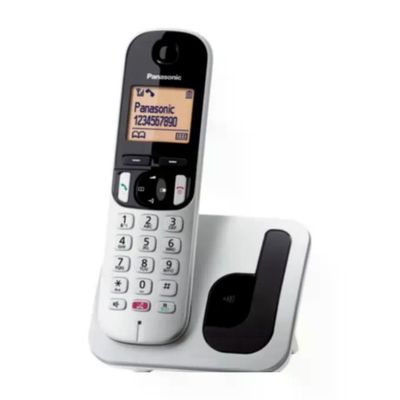 Panasonic KX-TGC260JTS Telefono Cordless con Segreteria, Silver
