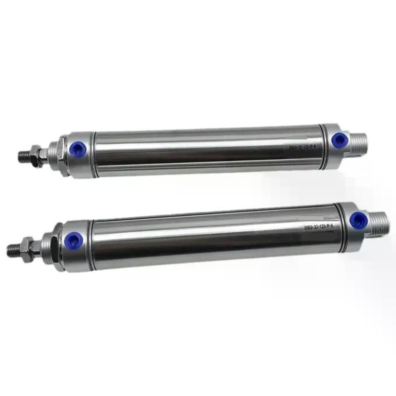 IONQXIDLD Minicilindro in Acciaio Inox Serie DSEU