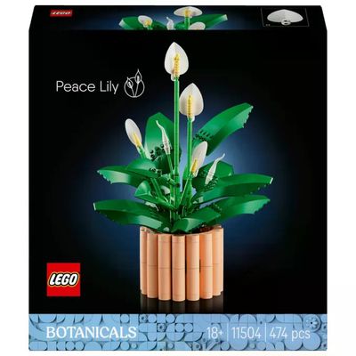 LEGO Botanicals Spatifillo 11504 – Pianta da costruire