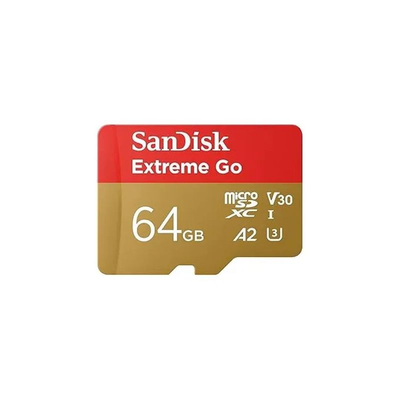 SanDisk SDSQXGN-064G-GN6MN Extreme GO Scheda microSDXC 64 GB UHS-I A2 V30 U3 170 MB-s lettura 80 MB
