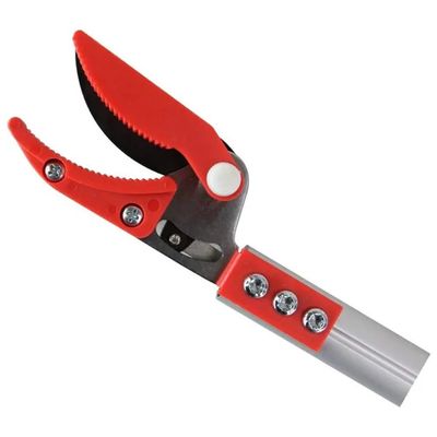 Bellota 3612 Forbici Telescopiche da Giardinaggio, Manico Estensibile 1–1,5 m, Taglio 10 mm Bellota 3612 Forbici Telescopiche da Giardinaggio, Manico Estensibile 1–1,5 m, Taglio 10 mm