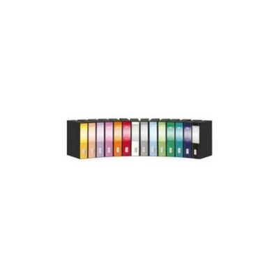 REXEL Esselte DOX 2 – Set 2 registratori a leva con custodia, protocollo 23 × 34 cm, dorso 8 cm