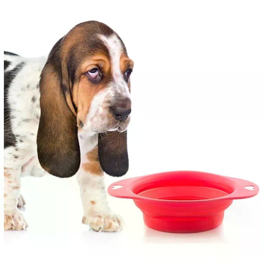 Koopman Ciotola Pieghevole in Silicone per Animali, 1 L