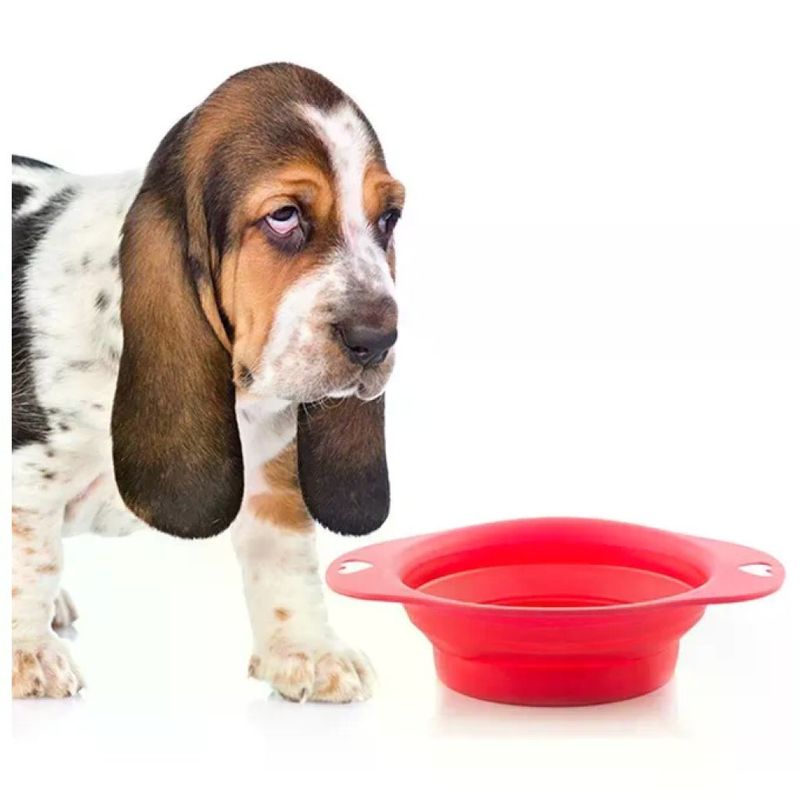 Koopman Ciotola Pieghevole in Silicone per Animali, 1 L
