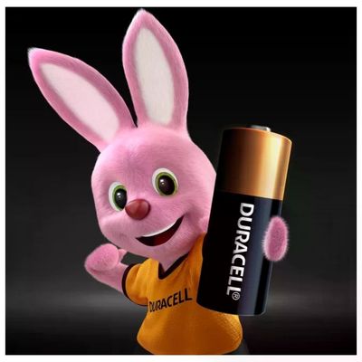 Duracell MN21 Batterie Alcaline 12 V – Confezione da 2