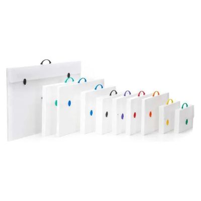 Balmar 2000 Valigetta Every Neutro 52 × 72 × 3 cm con 2 Chiusure
