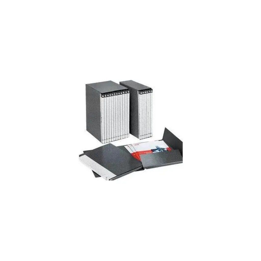 Esselte Delso Line, set 6 cartelle a 2 lembi 25 × 32 cm, dorso 1,5 cm, grigio Esselte Delso Line, set 6 cartelle a 2 lembi 25 × 32 cm, dorso 1,5 cm, grigio