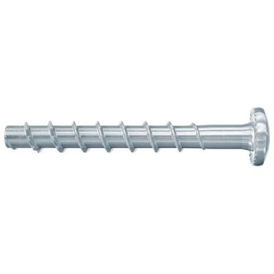 Fischer UltraCut FBS II 546378 – Viti per calcestruzzo 6×60 mm, TX30, 100 pz Fischer UltraCut FBS II 546378 – Viti per calcestruzzo 6×60 mm, TX30, 100 pz