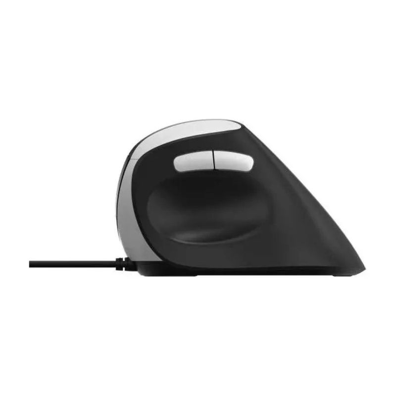 Rapoo EV200 Mouse Ottico USB 1600 DPI Ergonomico Nero e Argento