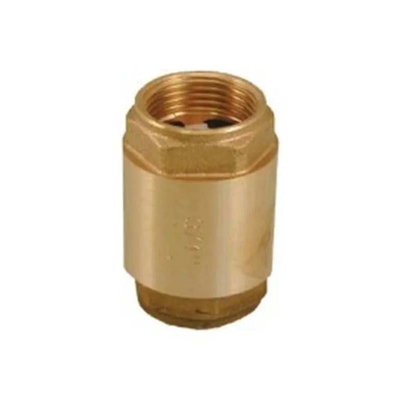 RASTELLI 480050 Valvola di Ritegno in Ottone 2″ F/F