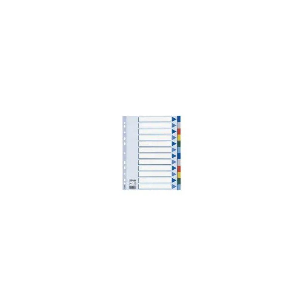 Esselte 15262 – Set da 10 divisori A4 con 12 tasti colorati