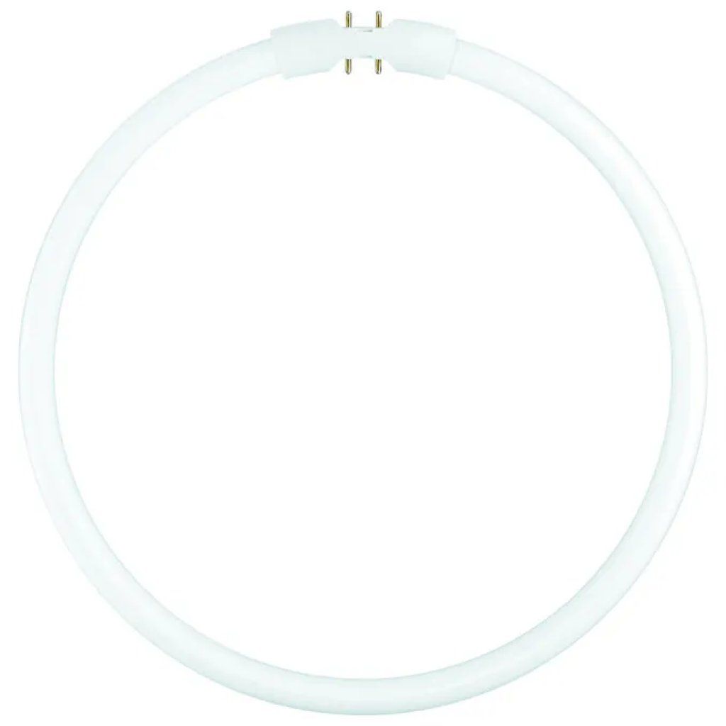 OSRAM FC 40 W/840 Lampada LED circolare 39,9 W