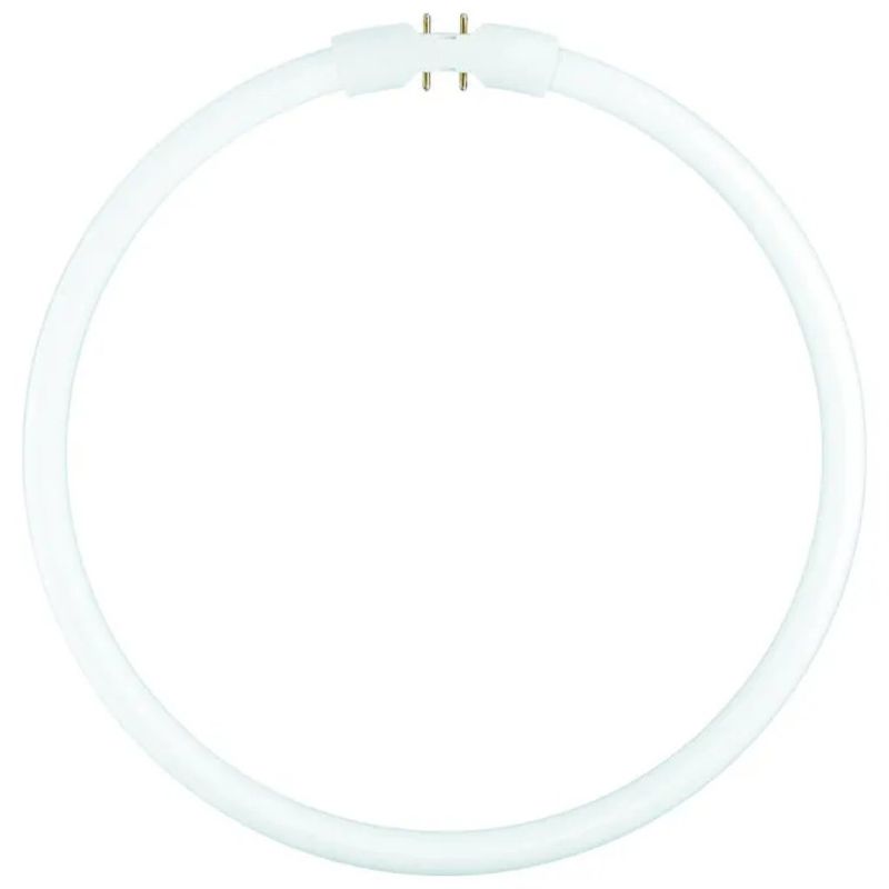 OSRAM FC 40 W/840 Lampada LED circolare 39,9 W