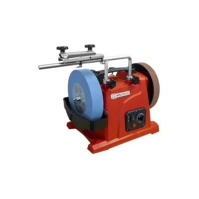 Holzmann NTS200FLEX Affilatrice a Umido e Secco 120 W