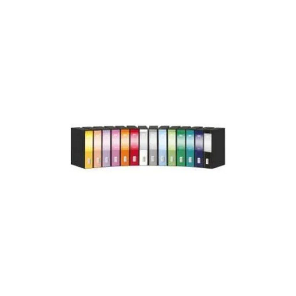 REXEL Esselte DOX 2 – Set 2 registratori a leva protocollo, dorso 8 cm, gialli