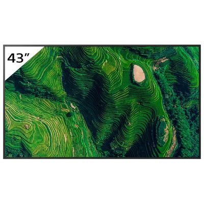 Sony BZ35P Display Professionale 43" 4K UHD