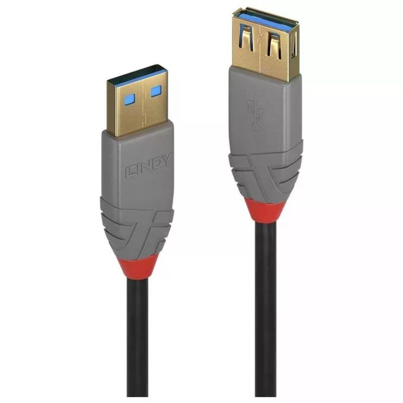Lindy Anthra Line – Prolunga USB 3.2 Tipo A maschio-femmina, 1 m