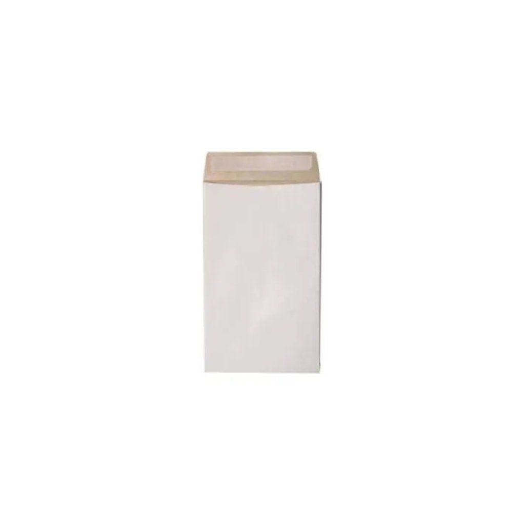 Blasetti Secursac D3 – 100 sacchetti da spedizione antistrappo, 30 × 40 × 4 cm Blasetti Secursac D3 – 100 sacchetti da spedizione antistrappo, 30 × 40 × 4 cm