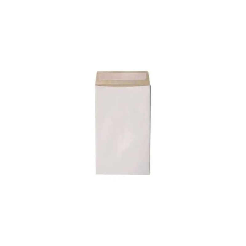 Blasetti Secursac D3 – 100 sacchetti da spedizione antistrappo, 30 × 40 × 4 cm