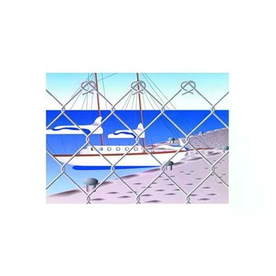 Vigor-Blinky Griglia Zincata 50 × 50 mm, Rotolo 25 m, Altezza 100 cm