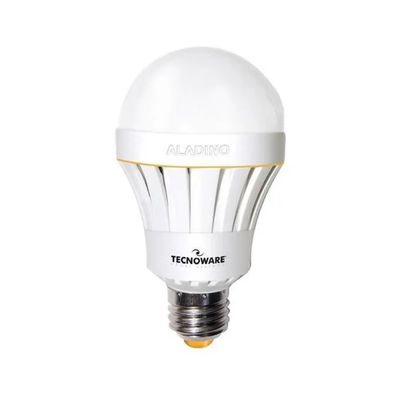 Tecnoware Aladino FLED17320 Lampadina LED E27 A65 10W 1000 lm, luce fredda 6500K