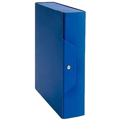 Brefiocart Set 5 Scatole Progetto Blu, Dorso 12 cm
