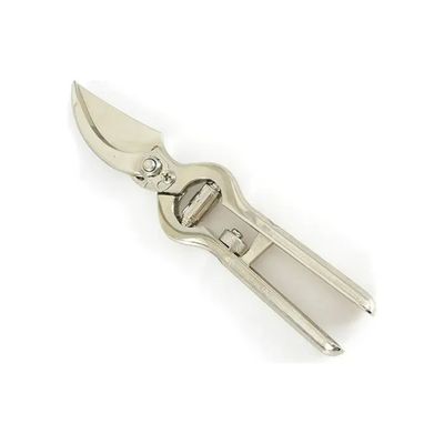 AUSONIA 31166 Forbice da Vigna Forgiata 23 cm