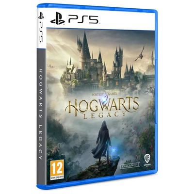 WARNER BROS Hogwarts Legacy per PlayStation 5 – Edizione Standard