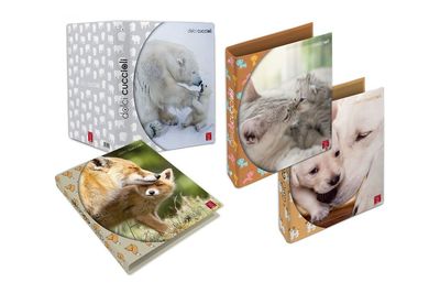 Pigna Dolci Cuccioli – 5 raccoglitori ad anelli A4