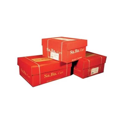 SA.BA.CART Carta a modulo continuo bianca SA.BA.CART 240 × 279 mm, 70 g/m², 2000 fogli