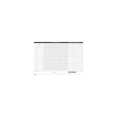EDIPRO E5149C Blocco Presenze Mensili Autoricalcante, 50x2 Copie, 21x30 cm, Bianco