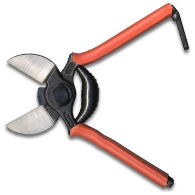 Lisam 1B Forbice da Potatura 19 cm – Lama in Acciaio Temprato