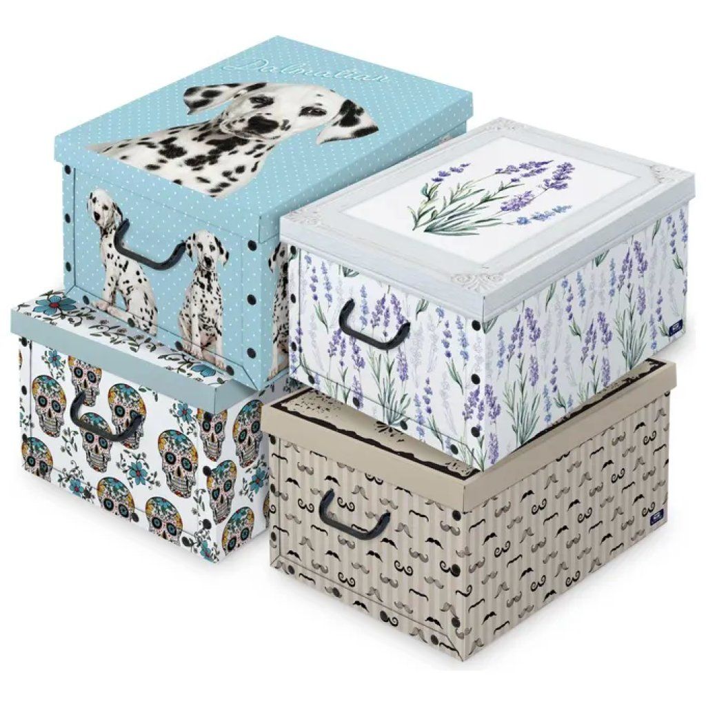 CUKI Domopak Living Scatola Portabiancheria con Coperchio 50 × 39 × 24 cm