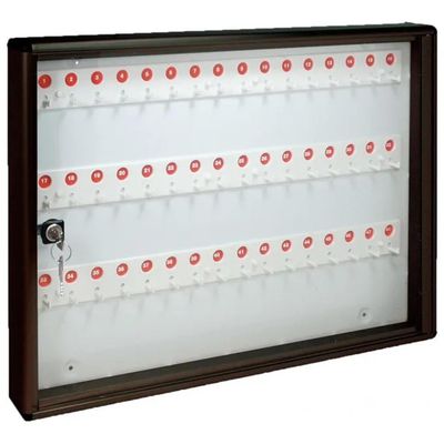 Alubox BC48 Bacheca Portachiavi da Parete, 48 Ganci Numerati, Alluminio Argento