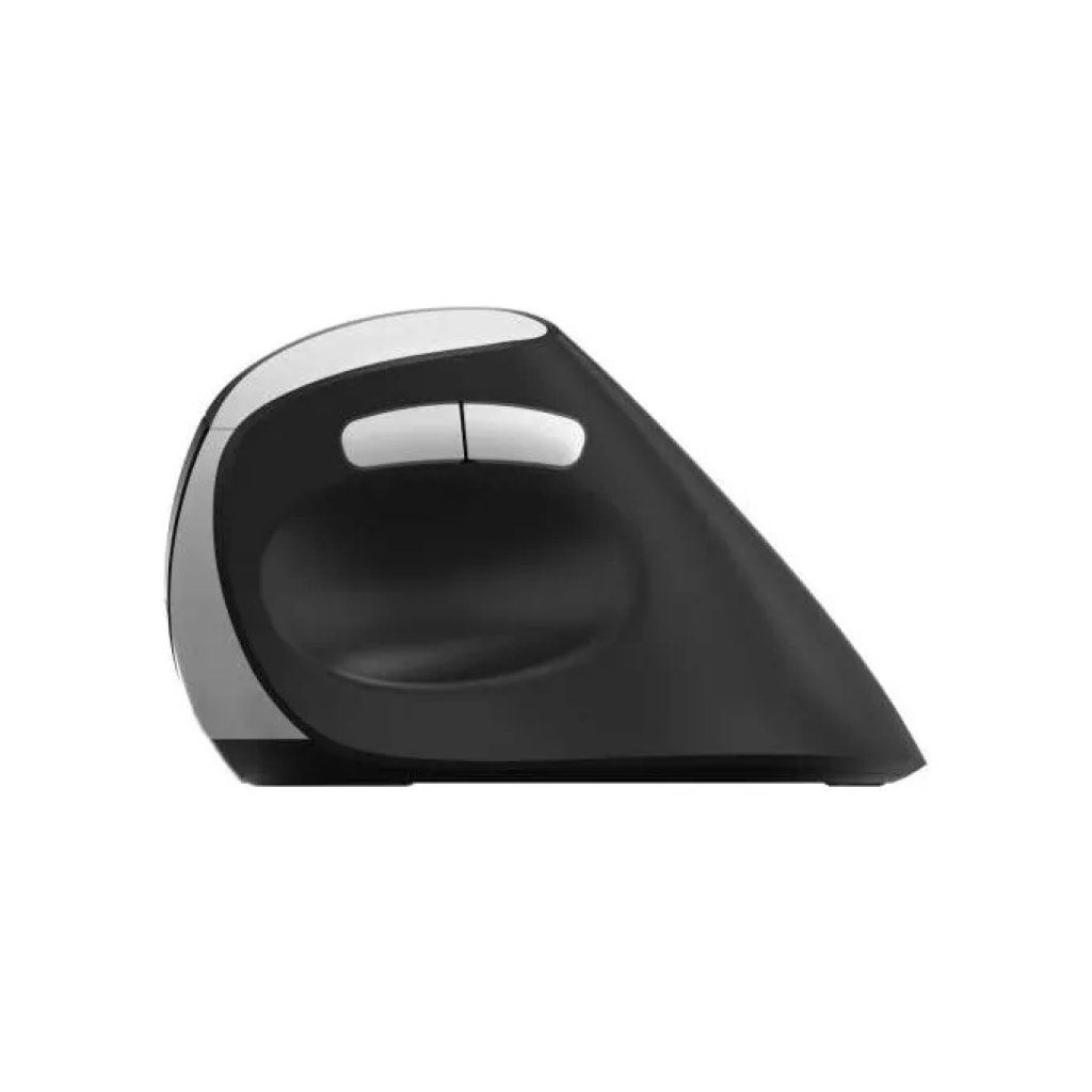Rapoo EV250 Mouse Wireless Ergonomico 1600 DPI Nero