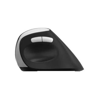 Rapoo EV250 Mouse Wireless Ergonomico 1600 DPI Nero Rapoo EV250 Mouse Wireless Ergonomico 1600 DPI Nero