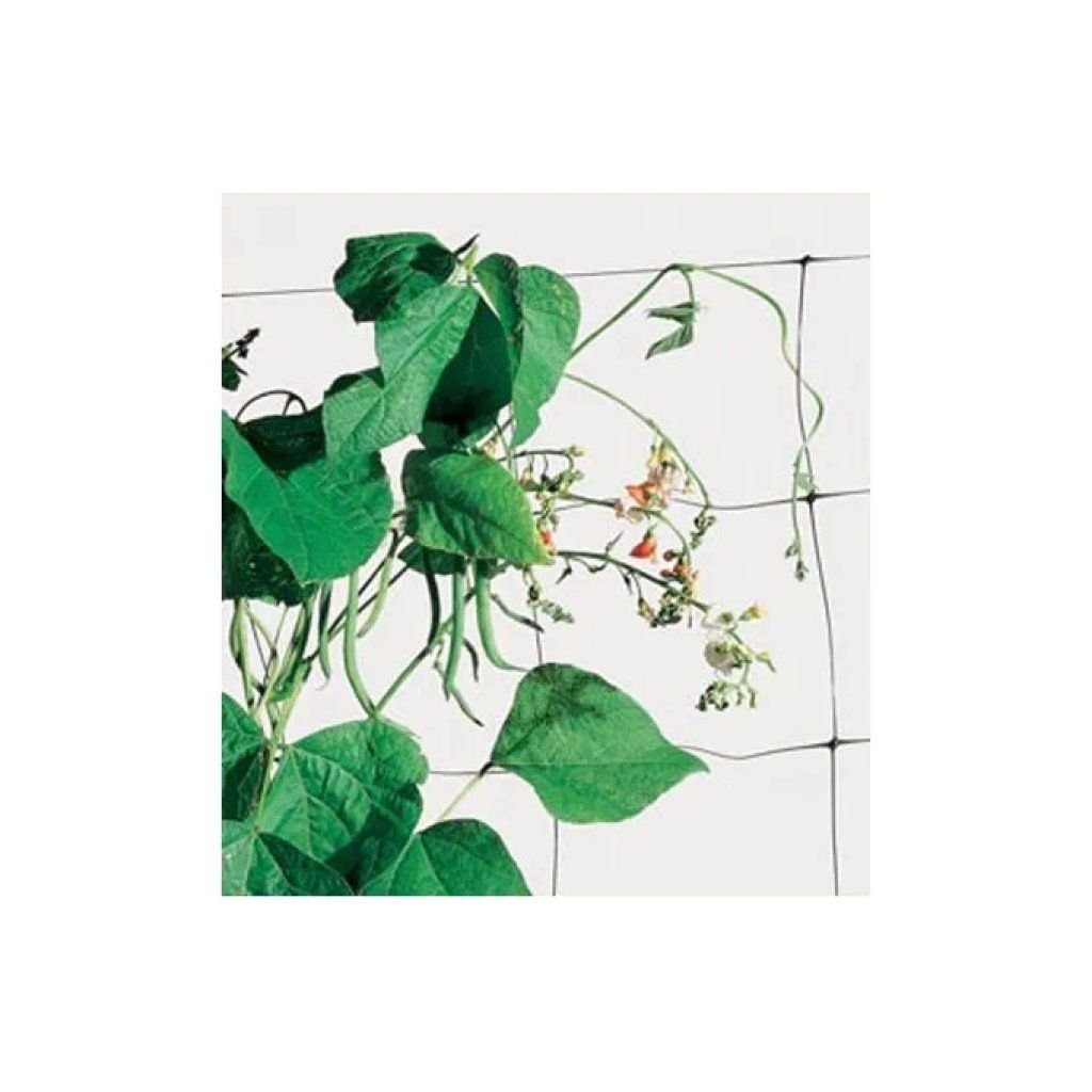 TENAX Flora rete verde per piante rampicanti 2 × 20 m TENAX Flora rete verde per piante rampicanti 2 × 20 m