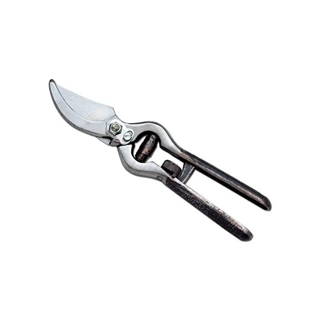 Ausonia 31006 Forbice da Vigna 23 cm Ausonia 31006 Forbice da Vigna 23 cm