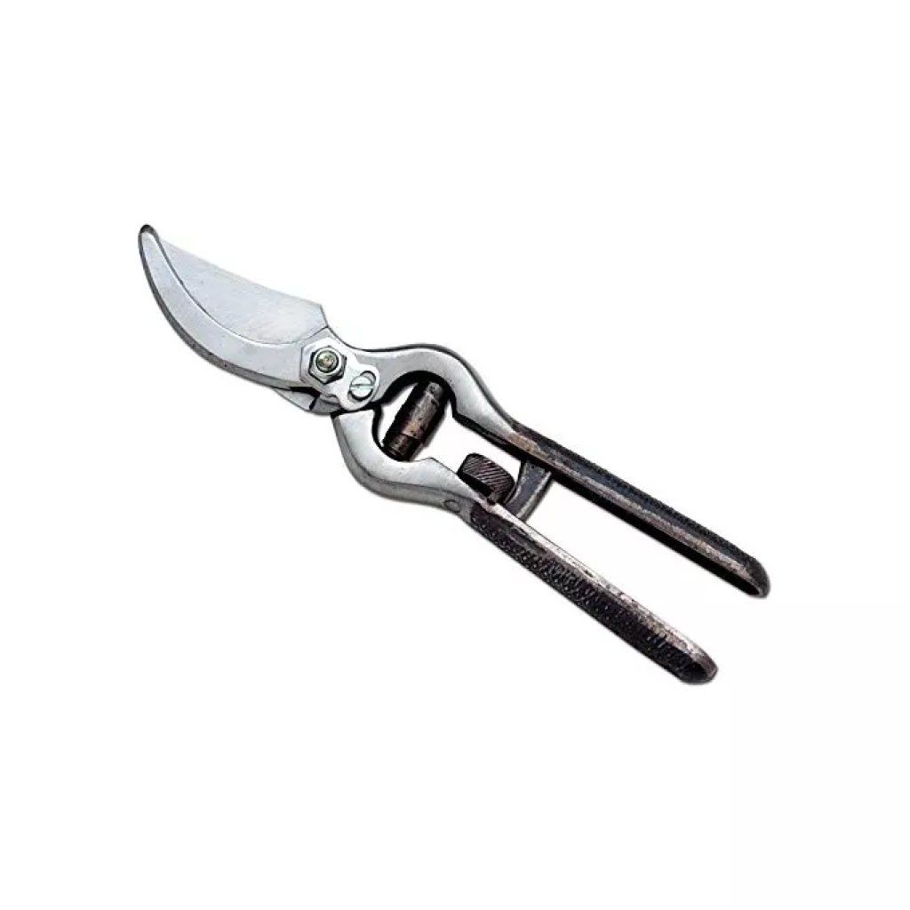 Ausonia 31003 Forbice da Vigna 21 cm Ausonia 31003 Forbice da Vigna 21 cm