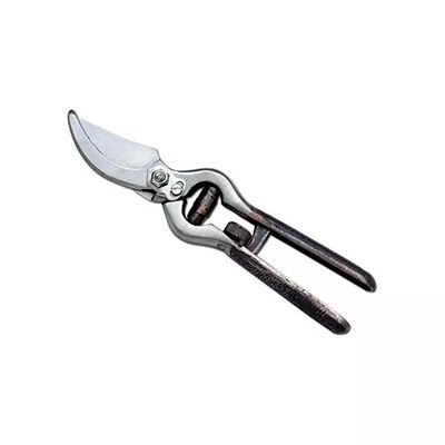 Ausonia 31003 Forbice da Vigna 21 cm Ausonia 31003 Forbice da Vigna 21 cm