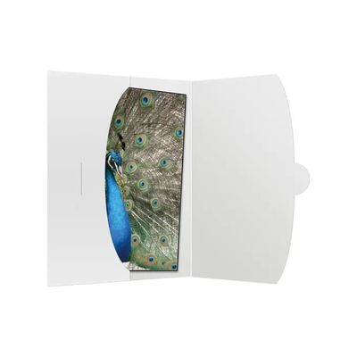 Daiber 09021 – Buste bianche per foto fino a 15 × 20 cm, confezione da 50