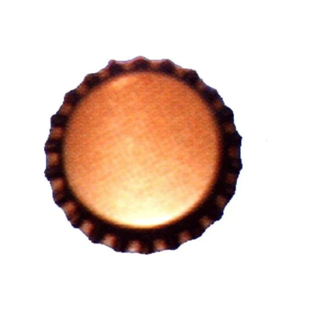 YEPPON Tappi a corona YEPPON da 30,5 mm, acciaio zincato, confezione da 100