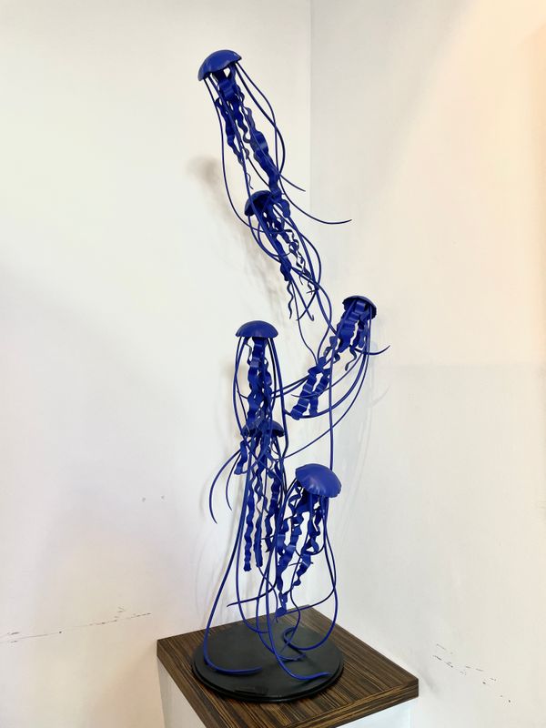 Jellyfish blue